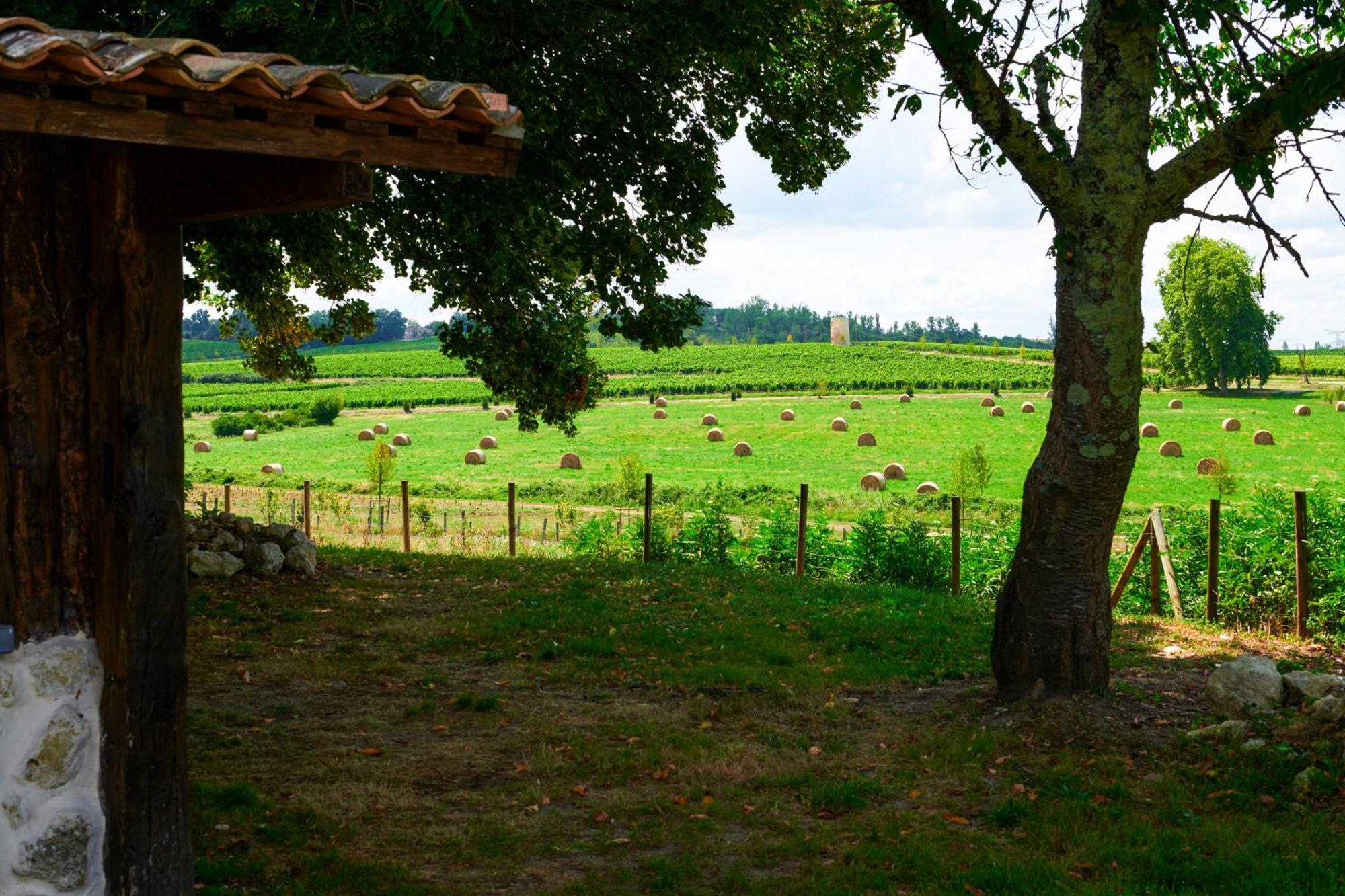فندق Fantastic Petit Beauval Saint-Sulpice-et-Cameyrac المظهر الخارجي الصورة